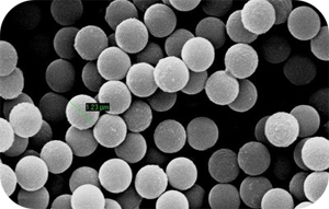 6901765964f36.png GR30.png