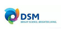 DSM